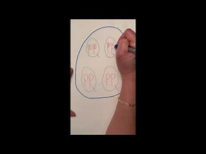 13.3 Math Video 1 Instruction