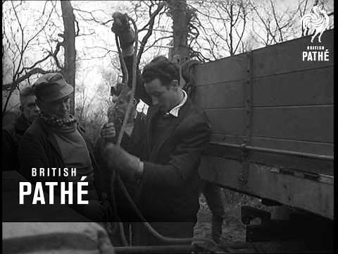 Gypsies Evicted (1962)