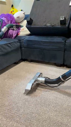Satisfying Carpet Cleaning