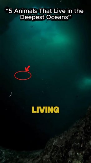5 Animals That Live in the Deepest Oceans #shorts #animals #ocean