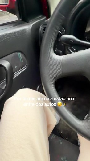 Cómo estacionarse entre dos autos: por fin me animé a estacionar