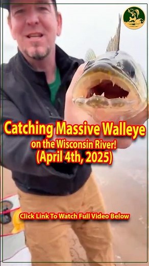 🎣 Catching Massive Walleye on the Wisconsin River Spring 2025 Fishing Adventure 🌊🐟