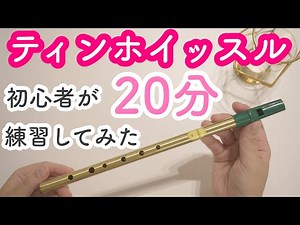 ティンホイッスル買ってみた【開封＆レビュー】【Tin whistle】ケルト・アイルランド音楽/「My Heart Will Go On」セリーヌディオン/民族楽器