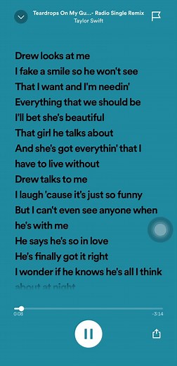 Taylor Swift Teardrops on My Guitar Lyrics