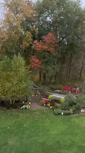 8.5K views · 249 reactions | Volume up! The chickens are free to come outside in the cold & rain if they choose…they prefer to stay in and read a book. Smarter than they’re given credit for. | The Chicken Chick | Facebook