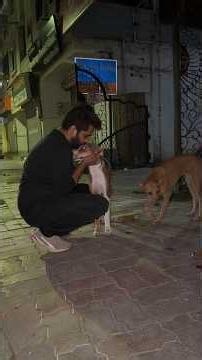 Enjoying every moment with my furry friends. 🐶🤍