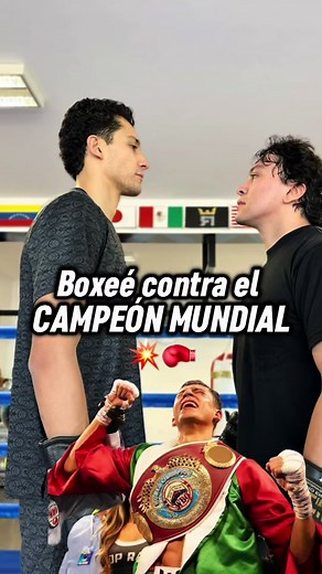Episodio cómico de Boxee enfrentando al campeón mundial