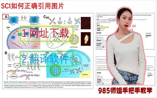 985师姐教你如何SCI正确引用图片-原图下载