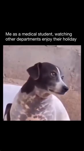 Medschoollife Africa on Instagram: "Healthworkers are crying in the corner"