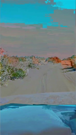 Namaqualand south Africa 29 july