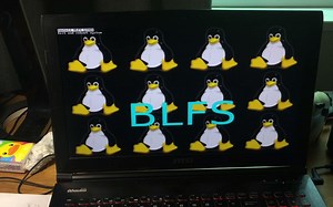 自制的Linux引导器