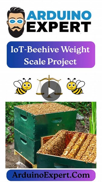 #arduino #esp32 #iot #smartbeekeeping #beehive #blynk #sim800 #gsm #iotproject #arduinoprojects #techshorts #bee | Arduino Expert