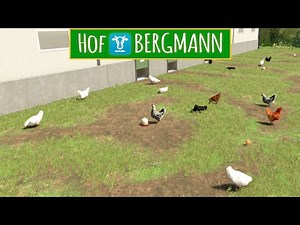 LS22 Hof Bergmann #174 - Hühner und Hähnchen
