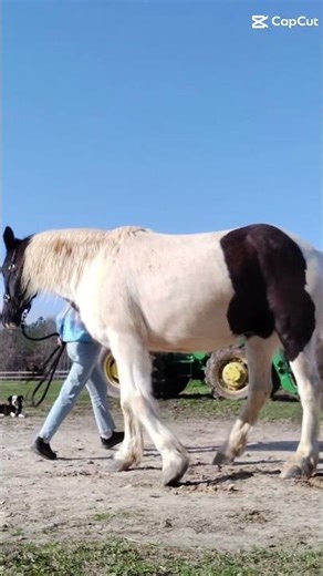 teaching Rio barrel spinning