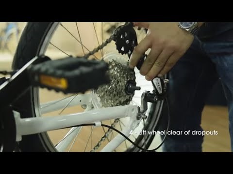 How to Remove and Replace a Rear Wheel on Your DAHON Folding Bike - Vertical Dropouts