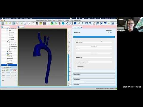 SimVascular Tutorial - 0D modeling