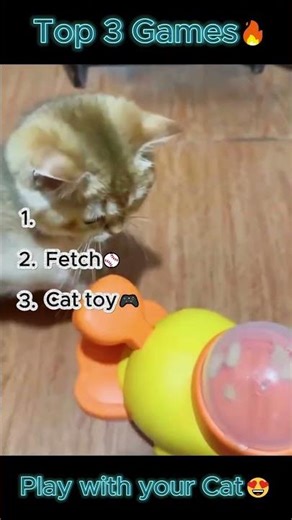 3 Fun Cat Games You MUST Try Today! 😹✨#funnycats #catgames #cutecats #catsplaying #cattoys #cats