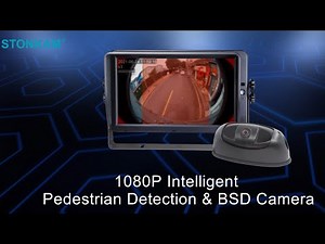 Intelligent Real-time Pedestrian Detection and Alarm Camera