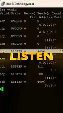 Find Every Open Port in Seconds #linux #tutorial