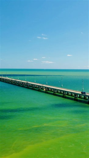 Here are the best family-friendly things to do in The Florida Keys & Key West 👇-Snorkel & dolphin watch tour with Honest Eco -Touch sea creatures in the touch tank at Key West Aquarium -See salvaged treasures at the Key West Shipwreck Museum -Interact with butterflies at The Key West Butterfly & Nature Conservatory -Learn about turtle rehabilitation at The Turtle Hospital -Wakeboard & get wild in the aqua park at Keys Cable and Adventure Park -Snorkel with rays & hand feed sharks Florida Keys A