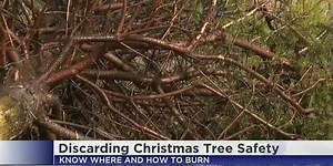 Getting rid of your Christmas trees safely