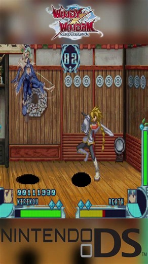 The DS fighting game you DON'T know 👊