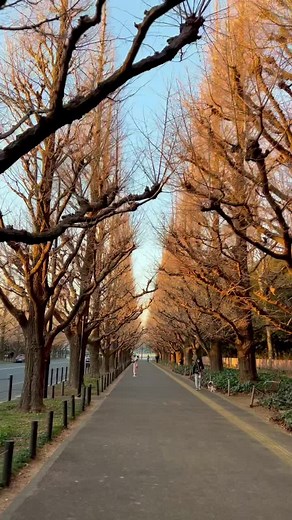 小泉今日子の魅力とドラマの思い出