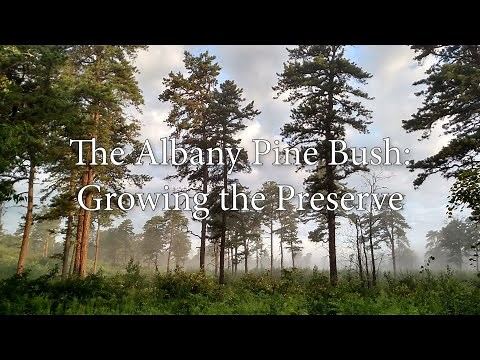 The Albany Pine Bush: Growing the Preserve