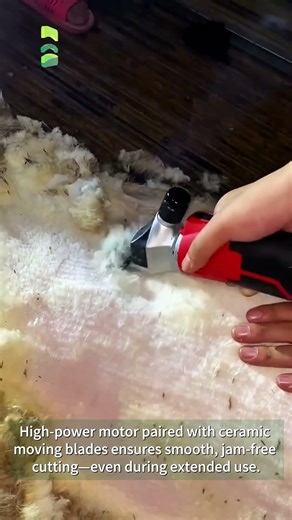 Budget Sheep Shears? ST-009 Electric Wool Trimmer Full Demo#farming #farm #sheep #goat #wool
