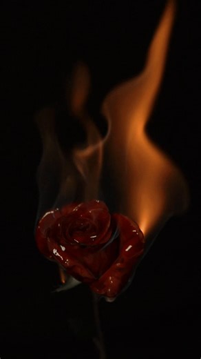 The Making of an Evil Queen: Behind the Scenes of Snow White