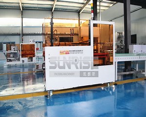 [Hot Item] Auto Folding Erecting Machine Carton Bottom Case Erector