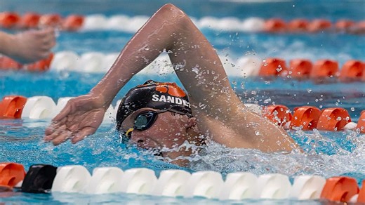 Meet the 2025-26 all-Livingston County boys swim and dive team