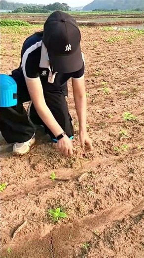 These Knee Pads Are a Total Game-Changer! 🌾🔥