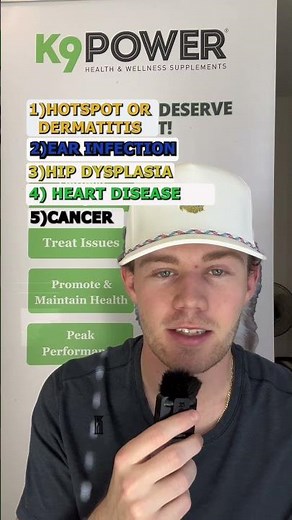 What Are the Common Health Issues in Golden Retrievers? 5 Problems to Watch Out For