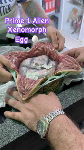 Unboxing Huevo de Xenomorfo de Prime 1 Studio #alien #xenomorph #egg #collection #nicaragua