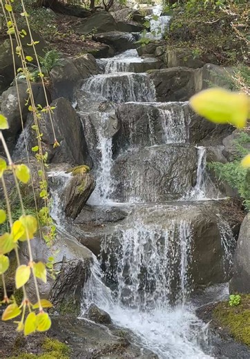 Exploring Spring in Canada: A Vancouver Adventure