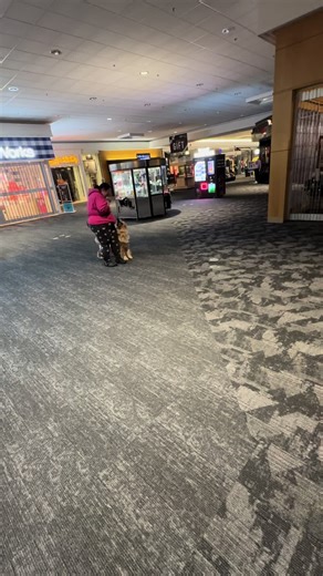 So tiny 🥹 #growingup #goldenretriever #puppy