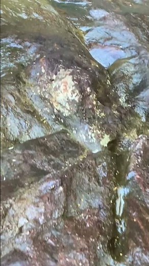 Cracking Basalt Rock with one hit 💥 What’s Hidden Inside ?