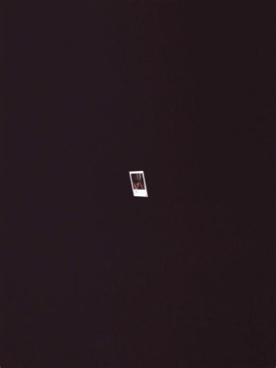 Restore Your Account with CapCut: A Step-by-Step Guide