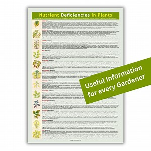 Plant Nutrient Deficiency Chart: Leaf Symptom Guide (digital Download) - Etsy