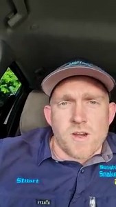 438K views · 5.1K reactions | Red Bellied Black Snake Full Of Babies!...