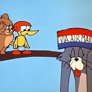 Best Cartoon Netflix 2025 | Cartoon Videos