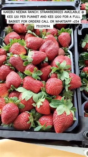 KARIBU NEEMA RANCH MAY 2025 PRICE LIST FOR FRUITS
