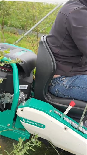 ⸻ ¡Ya está aquí la OREC Rabbit RM60W rugiendo en Asturias! Hoy os enseñamos un pequeño adelanto de la prueba que hicimos en Arándanos El Cierrón, con esta máquina increíble para trabajar entre líneas en viñedos, plantaciones de kiwi, arándanos o fresa. Una máquina japonesa pensada para terrenos complicados, que nos dejó ¡alucinados! Muy pronto tendréis en nuestro canal el vídeo completo de la prueba real en campo… ¡y no te lo puedes perder! ¿Tienes curiosidad sobre cómo funciona? ¿Te gustaría ve