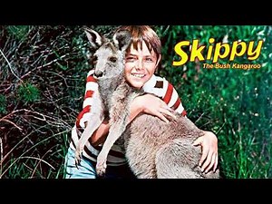 Skippy the Bush Kangaroo - An Australian Icon