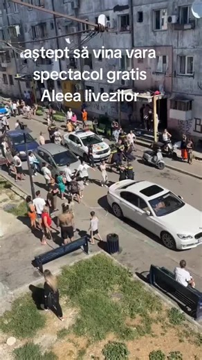 #creativitate @Stoian Marius @Costel Costelina2008 @yanis Tarantoc @citypartybusro @aly #@ana @Cory @𝓑𝓪𝓶𝓫𝓪 𝓢𝓹𝓪𝓻𝓽𝓪𝓷𝓾𝓵 @Dani @Luigi @💛Mihaela💛