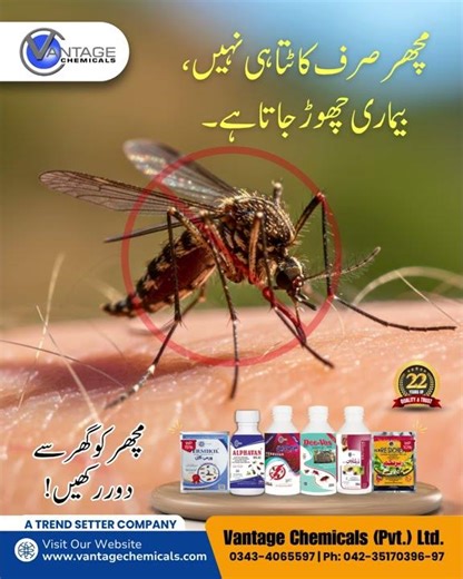 Mosquito Control by Vantage Chemicals | Indoor & Outdoor Protection
