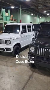 #SaferWholesale #cocoBoxer #Lsv #GolfCart #SmallEv #Electric #ElectricCar ##MiniCar #LowSpeedVehicle #New | SaferWholesaleCom