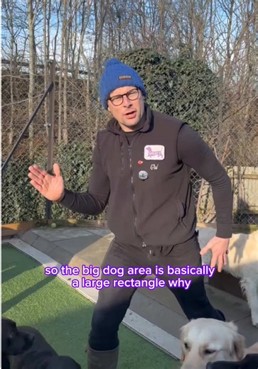 Big vs small… size matters here at Waggy’s! Find out exactly how we cater to all shapes and sizes of dogs within their designated areas! 🙌