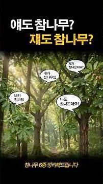 There isn't just one type of oak tree
